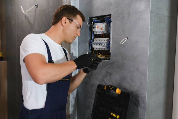 Best Electrical System Inspection  in Silver Grove, KY