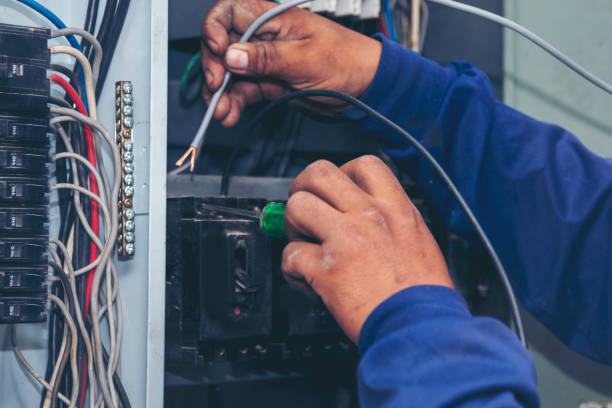Best Home Electrical Repair  in Silver Grove, KY