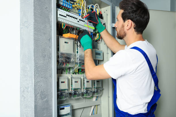 Best Electrician for Home Renovation  in Silver Grove, KY